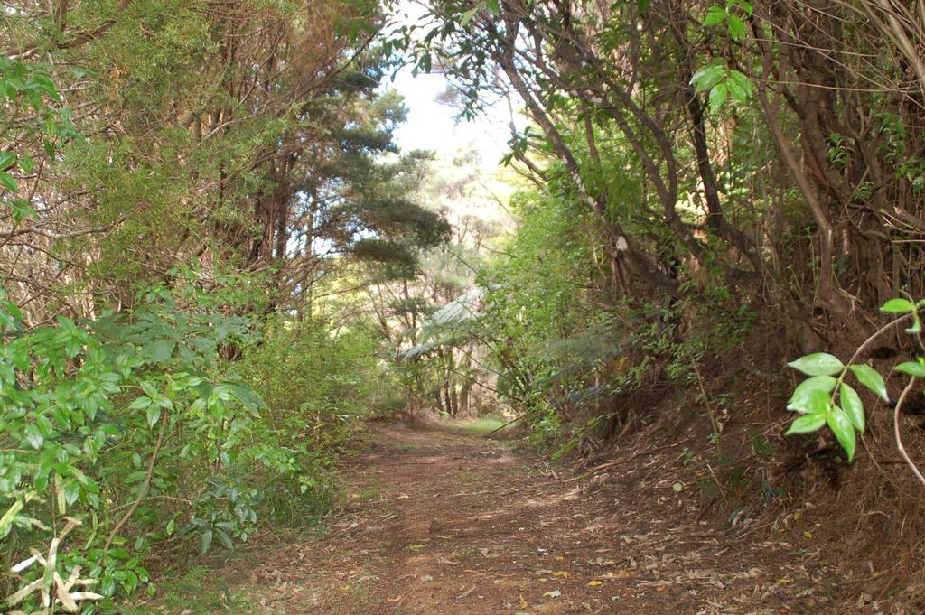Kohinui Glade Holiday Cottage Parua Bay Esterno foto