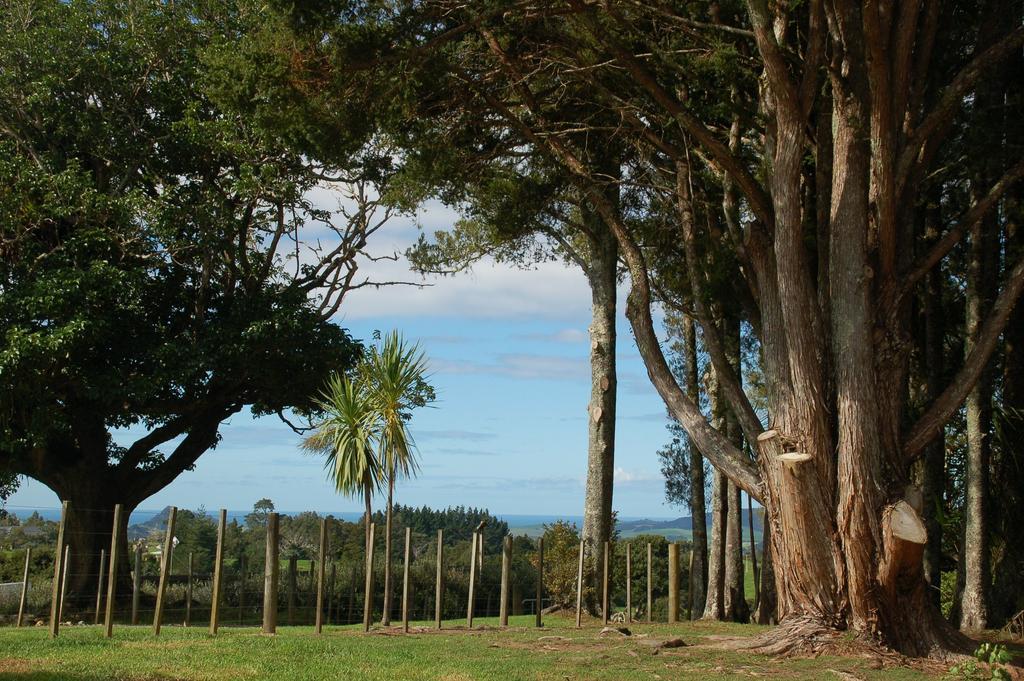 Kohinui Glade Holiday Cottage Parua Bay Esterno foto